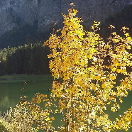 Logis Hotel Les Sapins Montriond Eksteriør billede