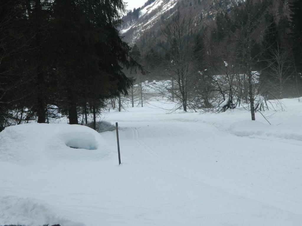 Logis Hotel Les Sapins Montriond Eksteriør billede