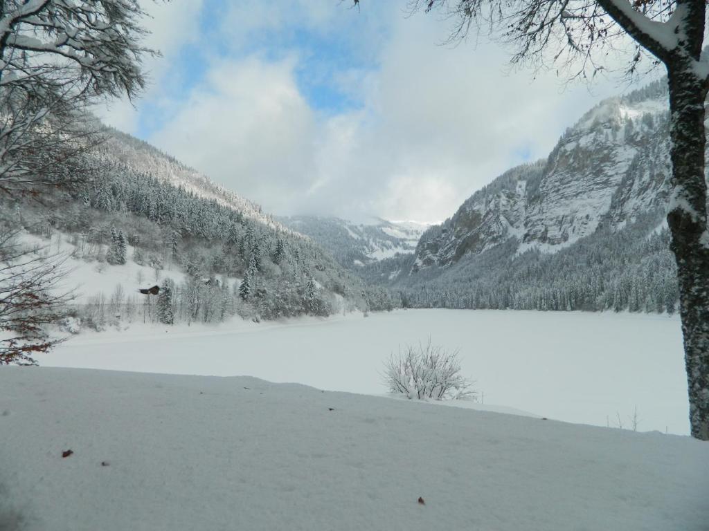 Logis Hotel Les Sapins Montriond Eksteriør billede